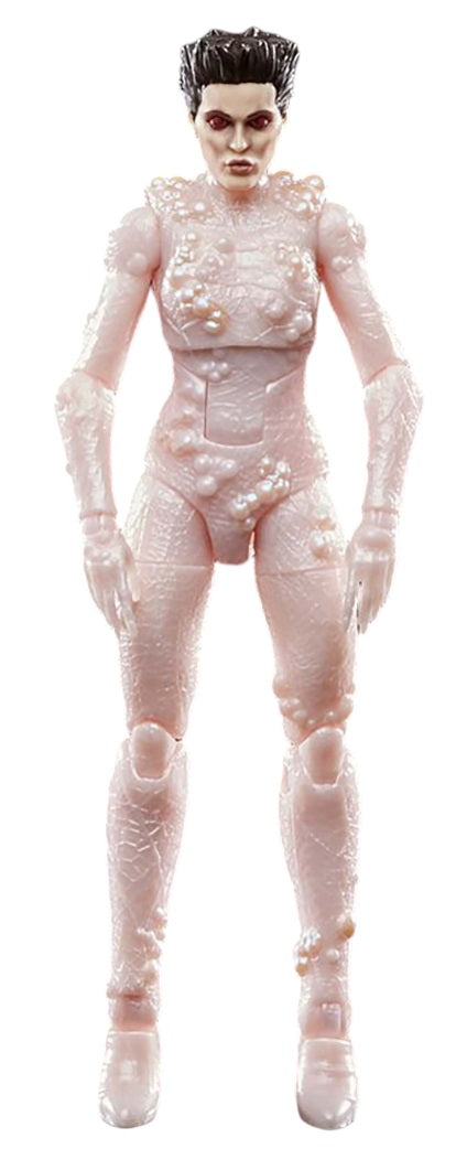 GHOSTBUSTERS PLASMA SERIES GOZER BUILD A GHOST VINZ CLORTHO TERROR DOG MISB GHOSTBUSTERS PLASMA SERIES GOZER BUILD A GHOST VINZ CLORTHO TERROR DOG MISB