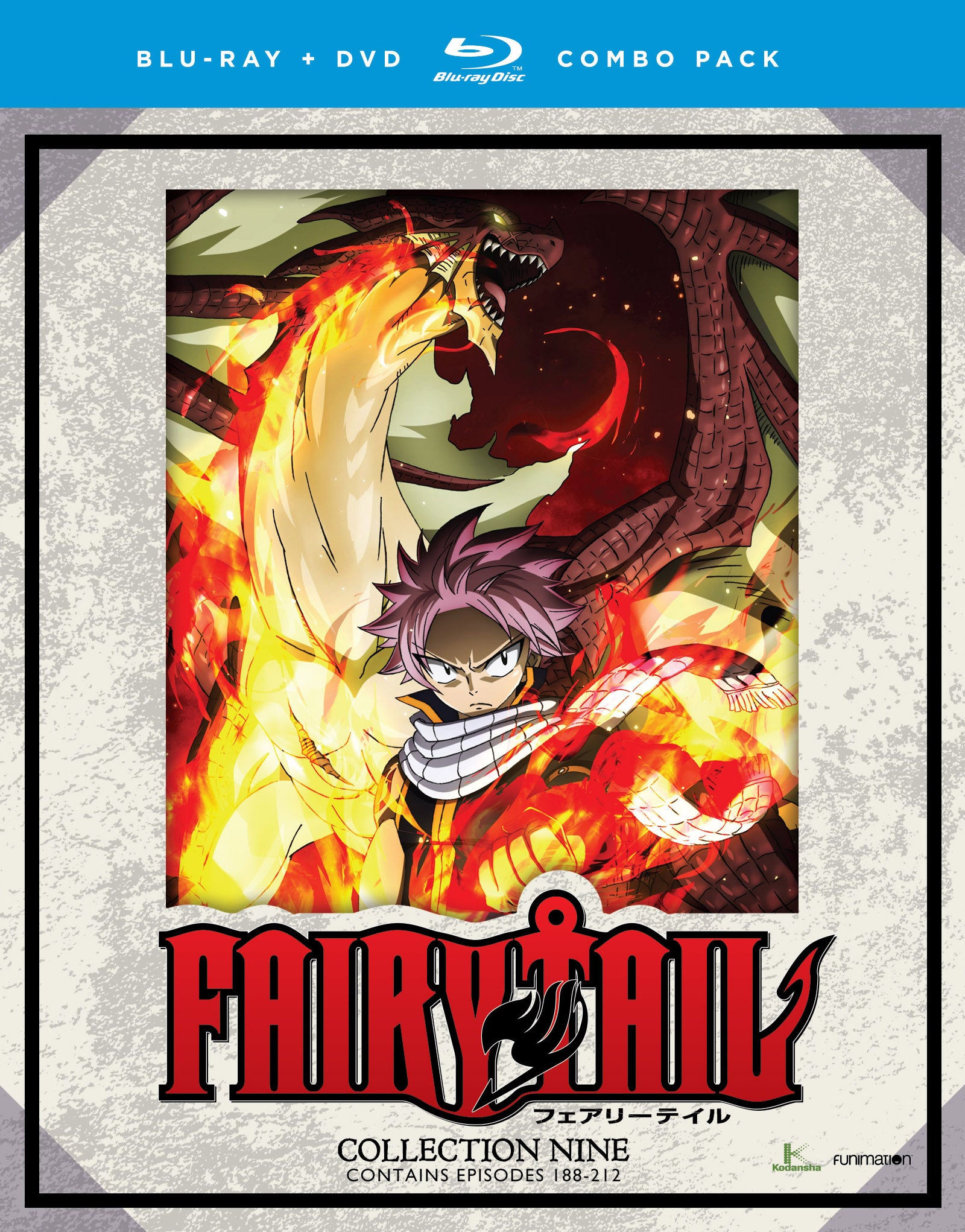 フェアリーテイルシリーズ Fairy Tail Collection Nine (Missing Slip Cover)